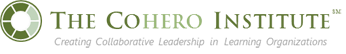 The CoHero Institute for Collaborative Change Leadership